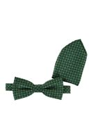 Fliege mit Einstecktuch