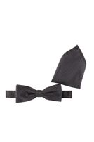 Fliege mit Einstecktuch