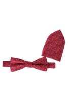 Fliege mit Einstecktuch