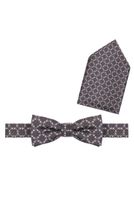 Fliege mit Einstecktuch